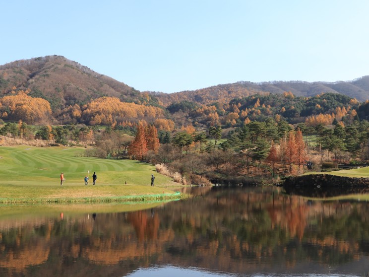 사진더보기