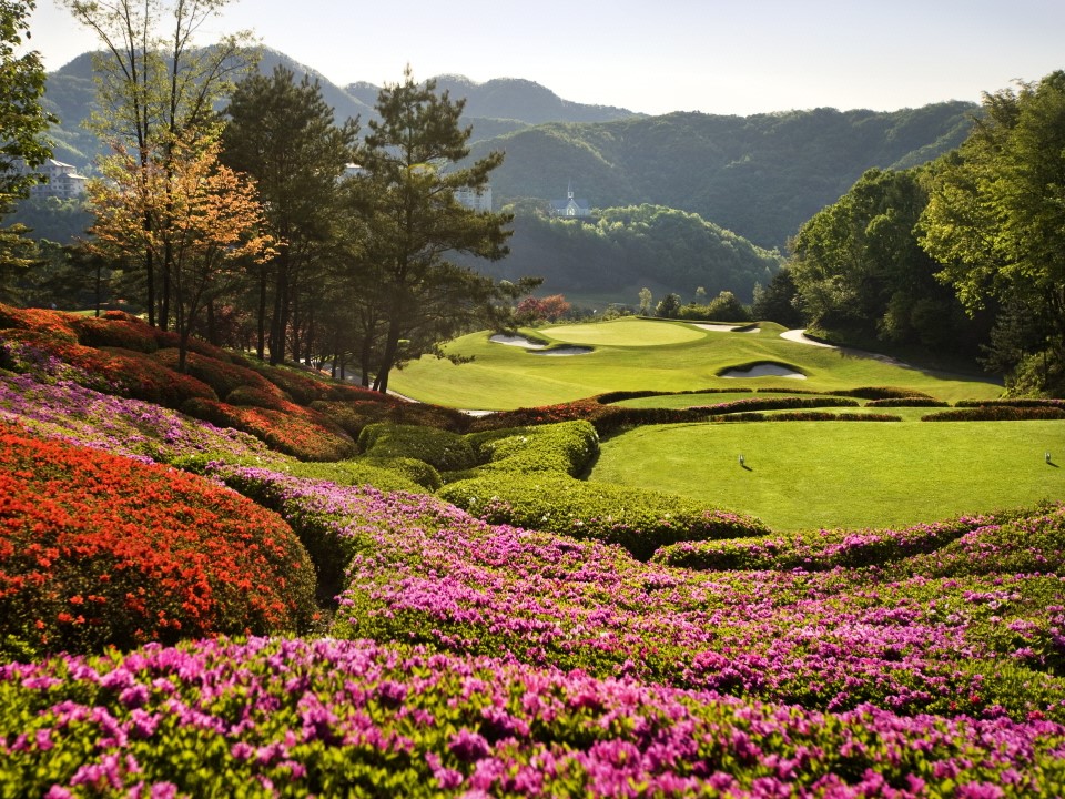 사진더보기