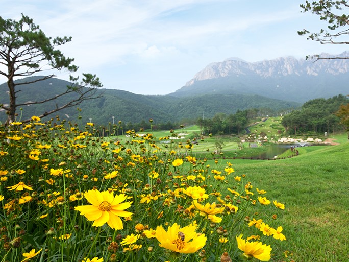 사진더보기