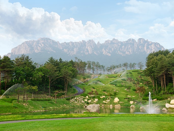 사진더보기
