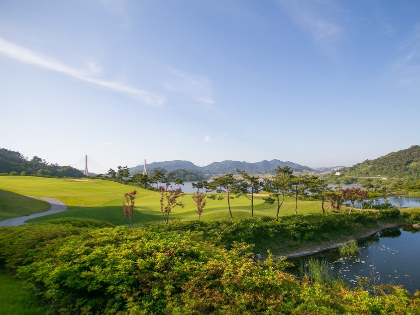 사진더보기